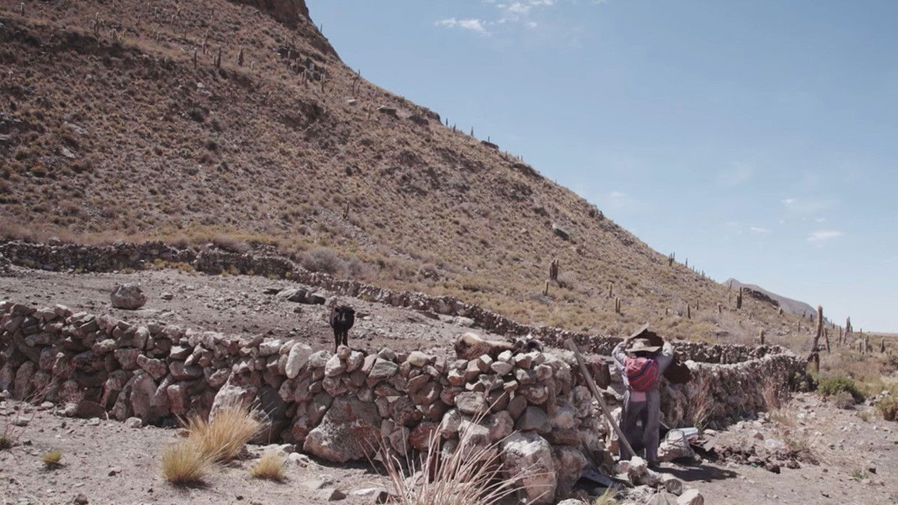 Agua para la vida. La lucha de Ayllu San Agustín de Puñaca