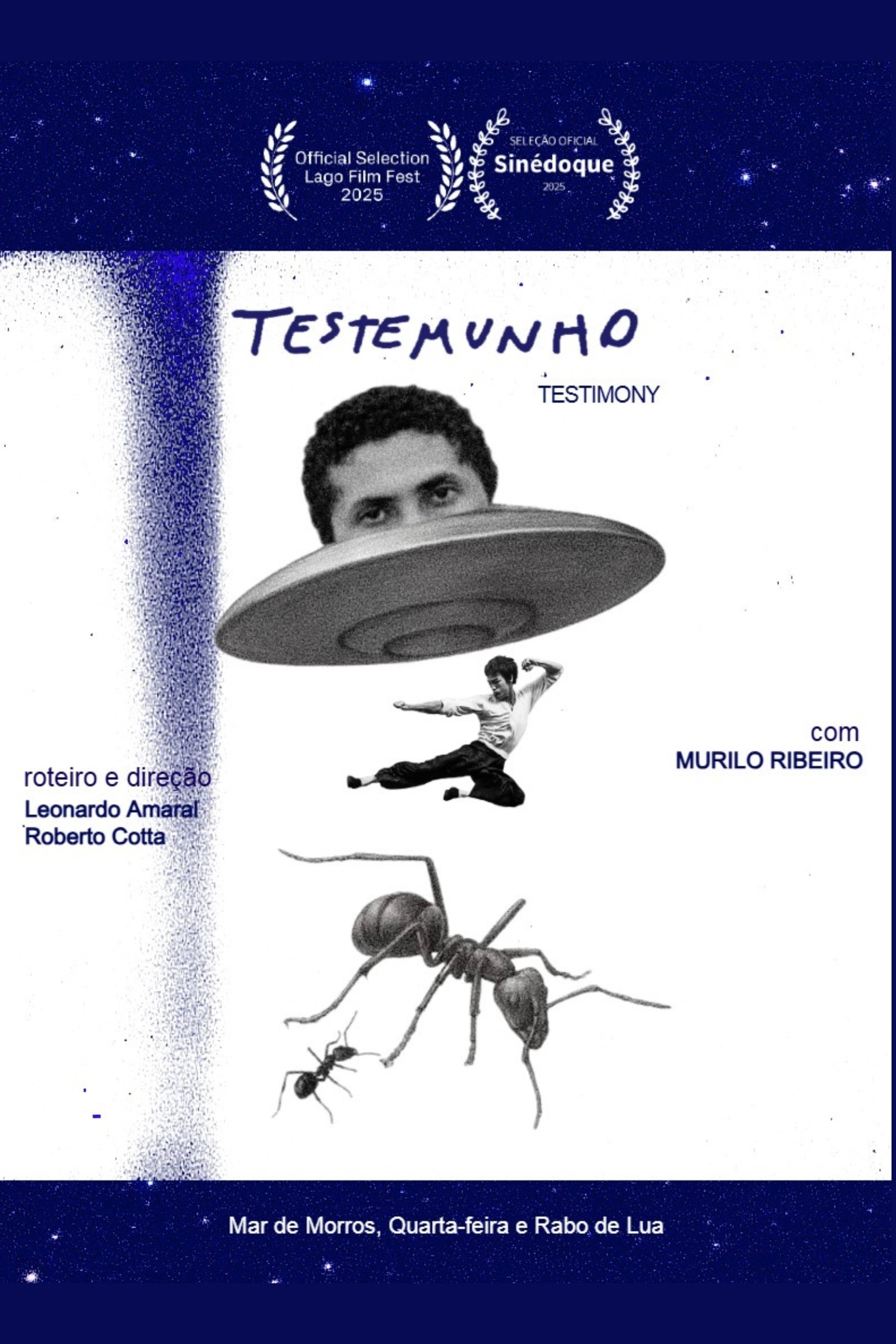 Poster de Testimony