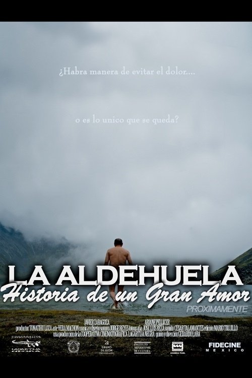 Poster de La Aldehuela: Historia de un Gran Amor