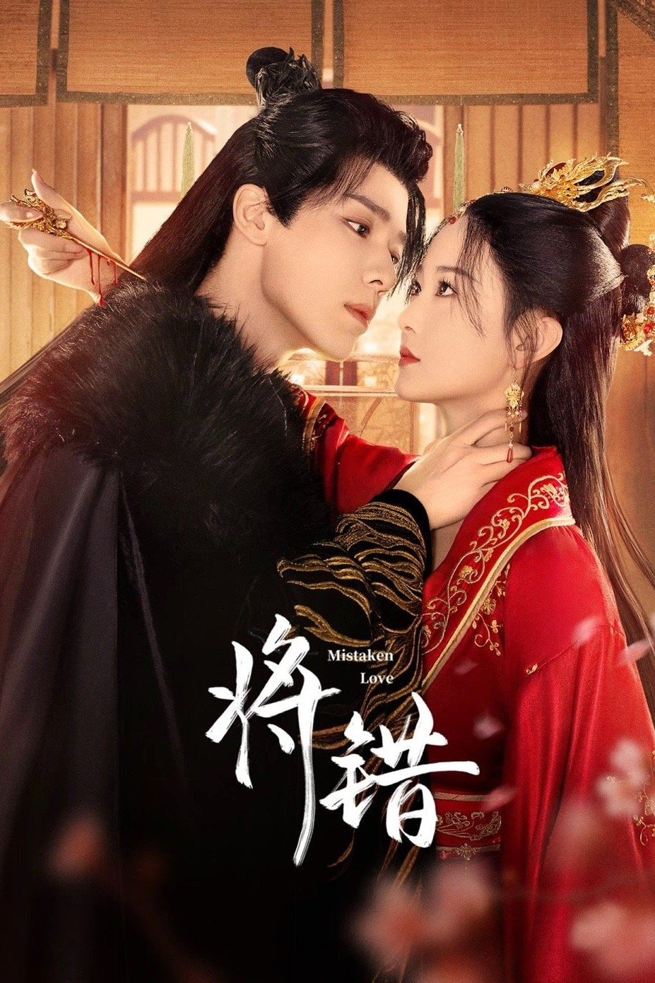 Poster de 将错