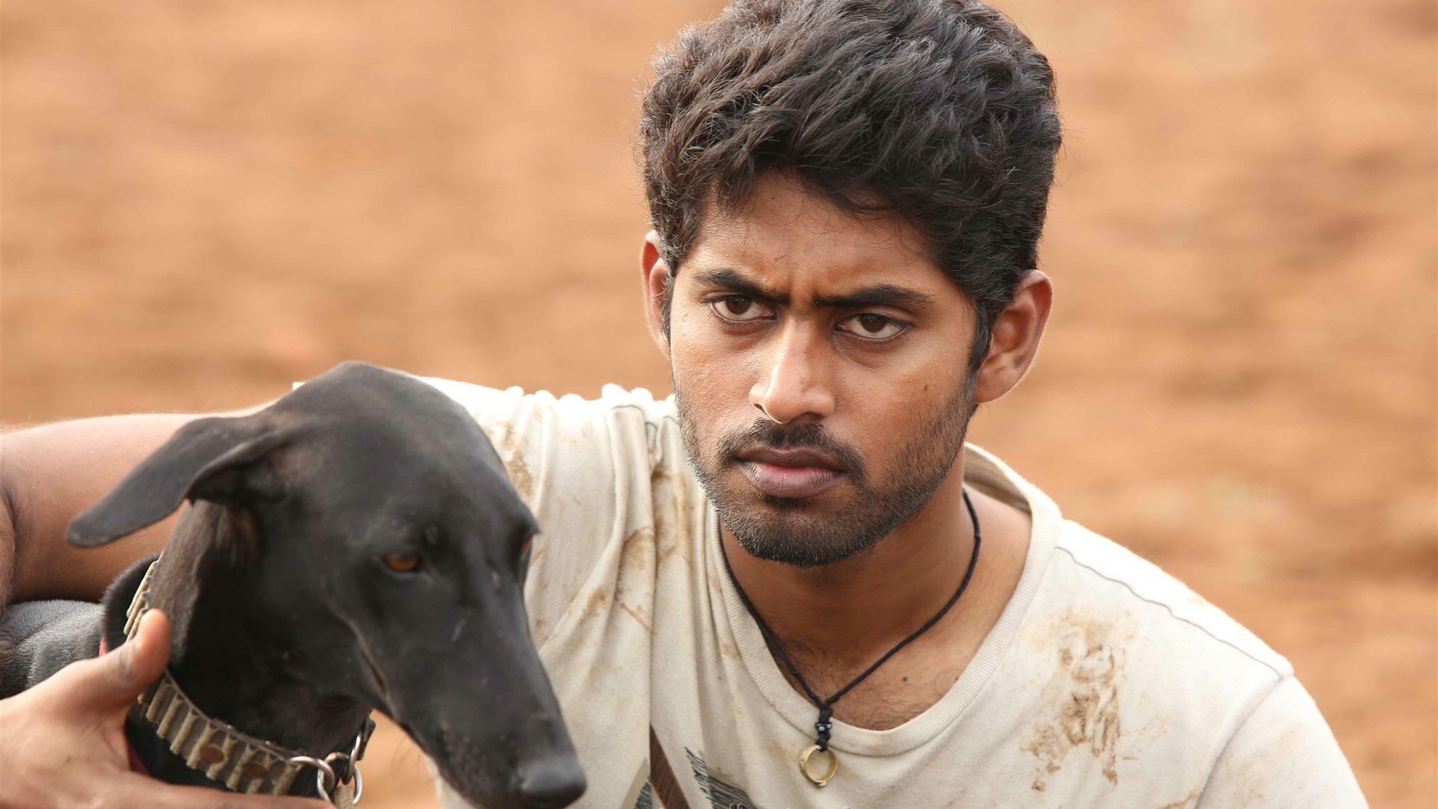 Pariyerum Perumal 2018 123movies