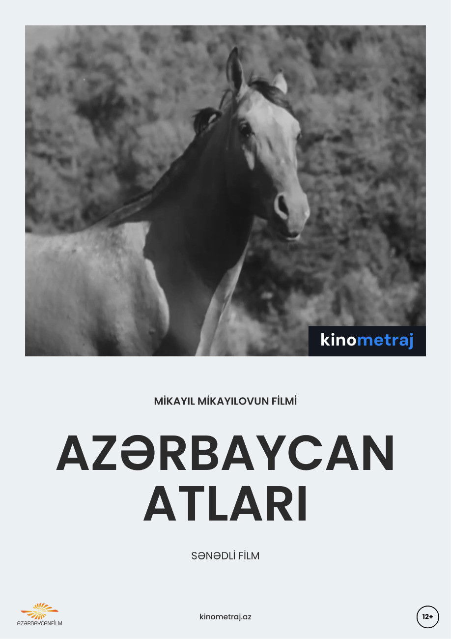 Azerbaijani Horses