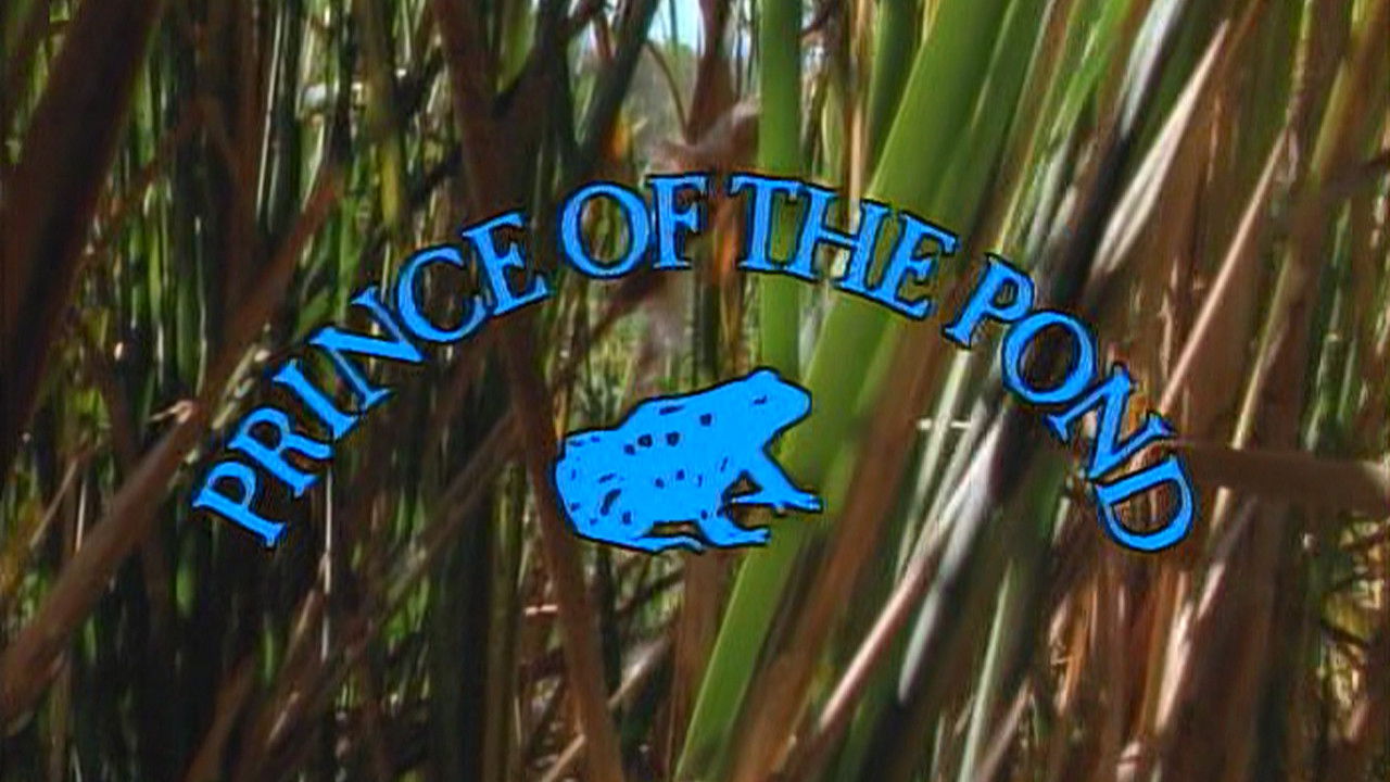 Prince of the Pond