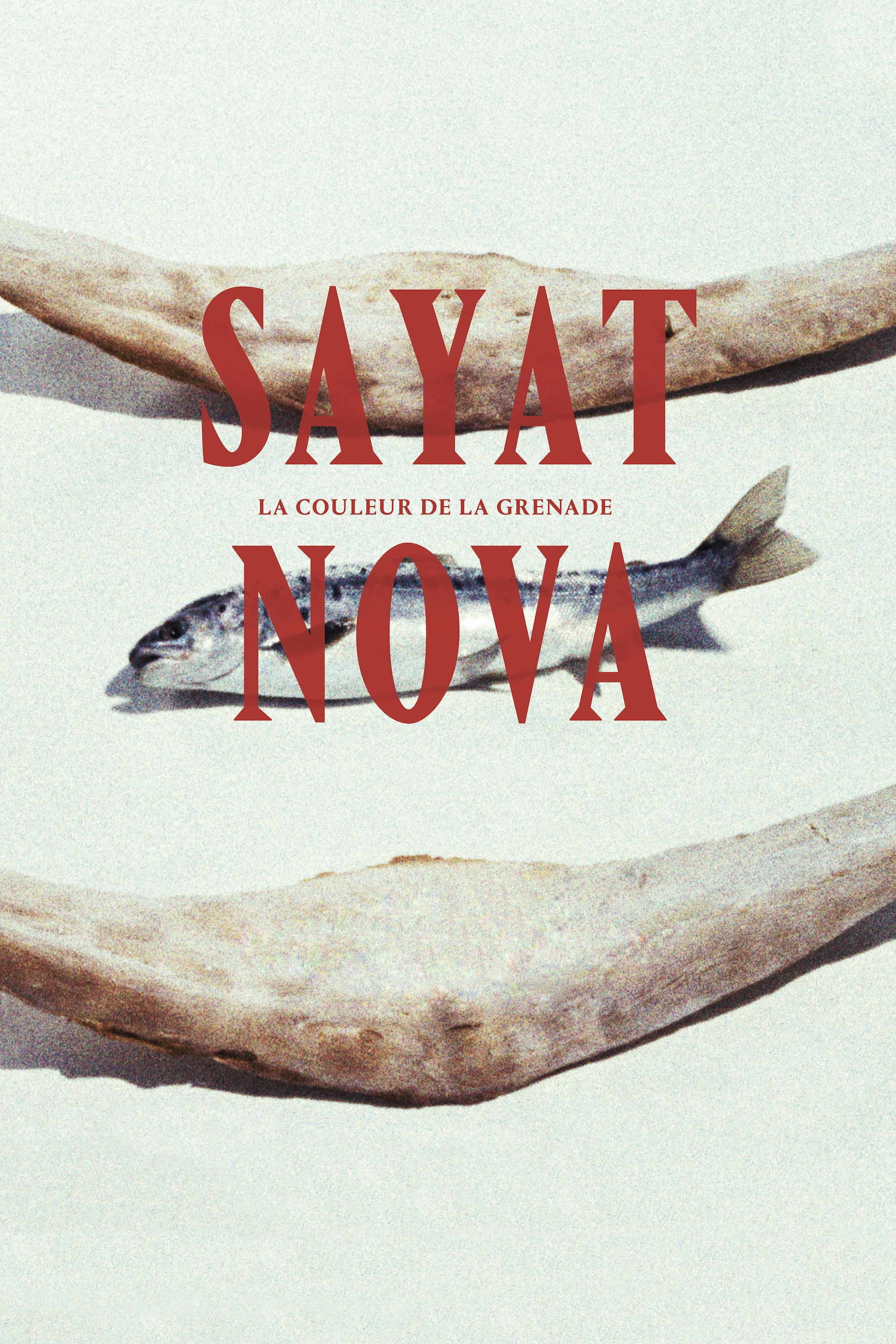 Sayat Nova : La Couleur de la grenade