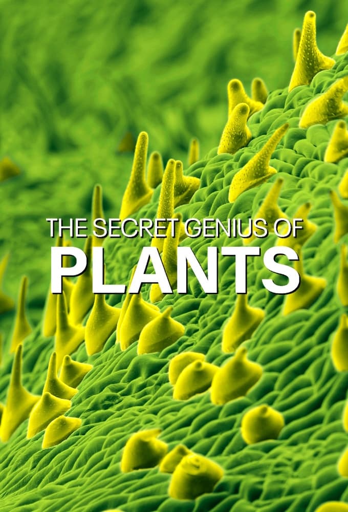 Poster de The Secret Genius of Plants