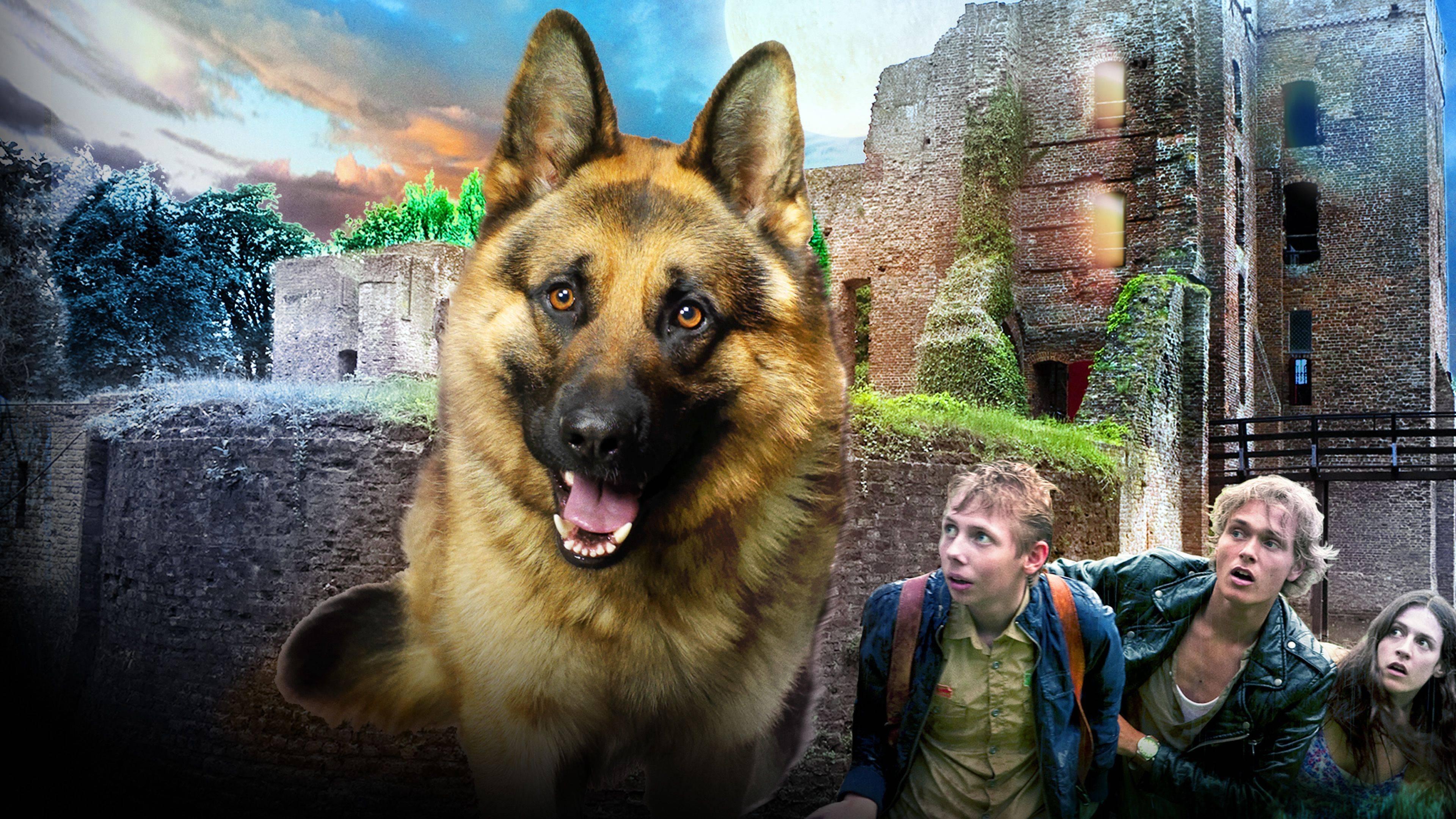 Backdrop image