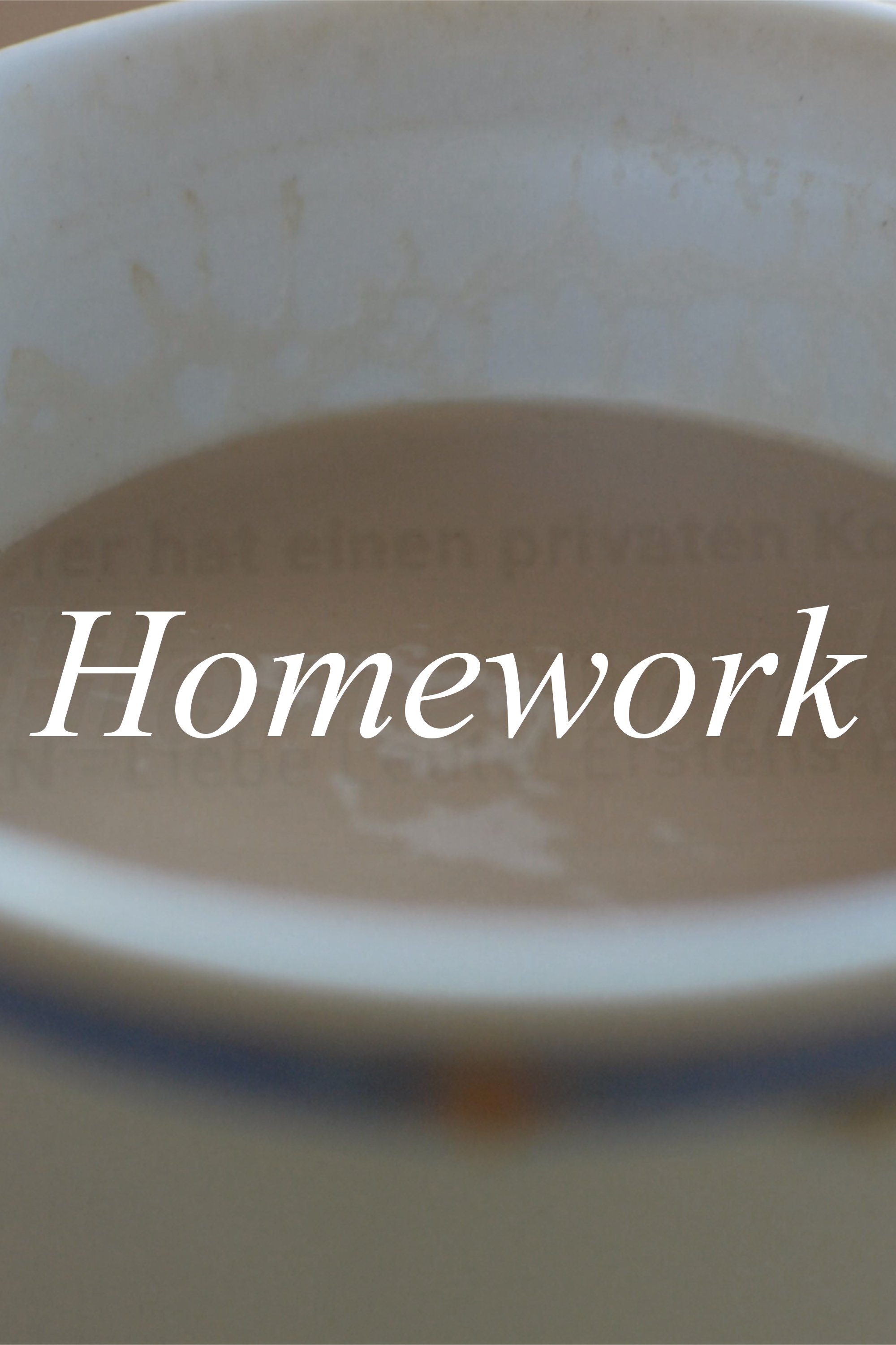 Poster de Homework