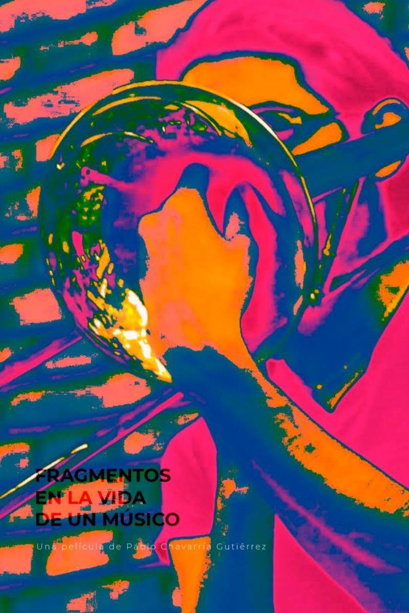 Poster de Fragmentos en la vida de un músico
