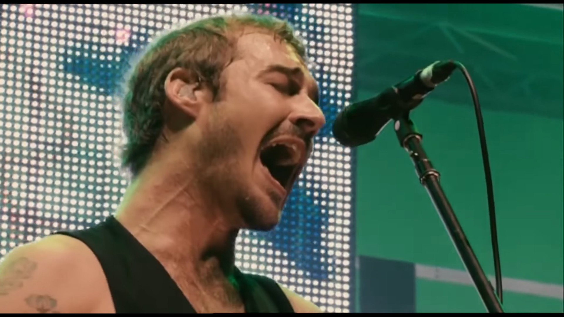 Director