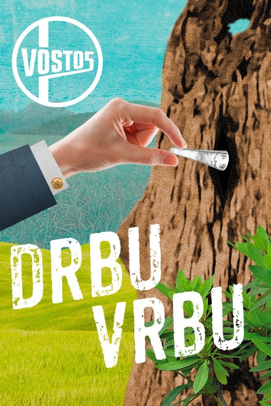 Poster de Drbu vrbu