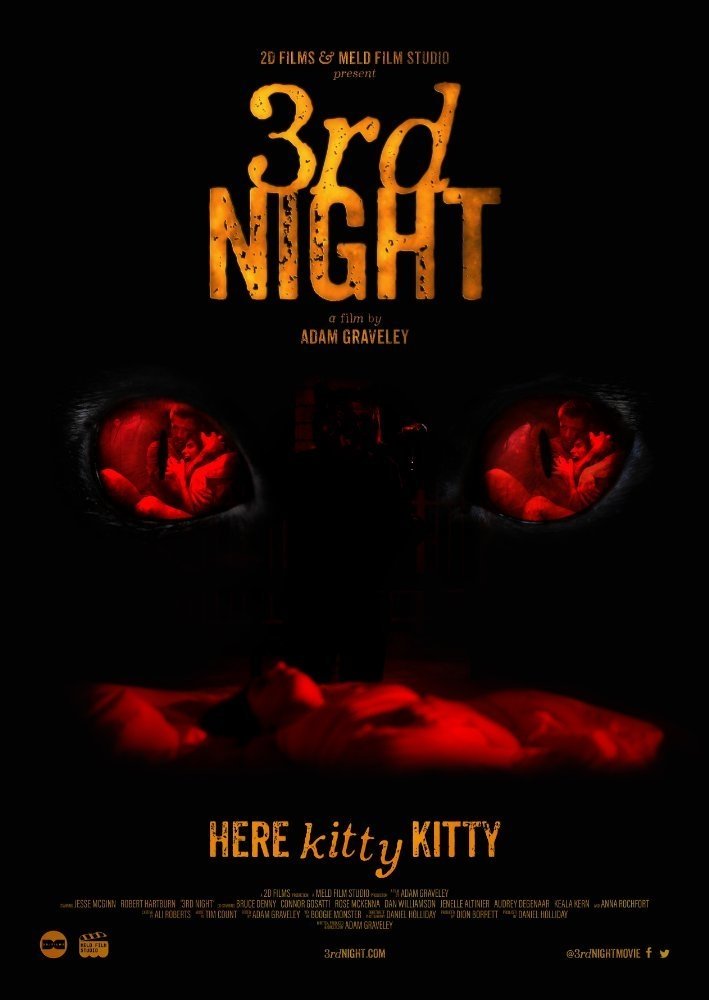 Poster de 3rd Night