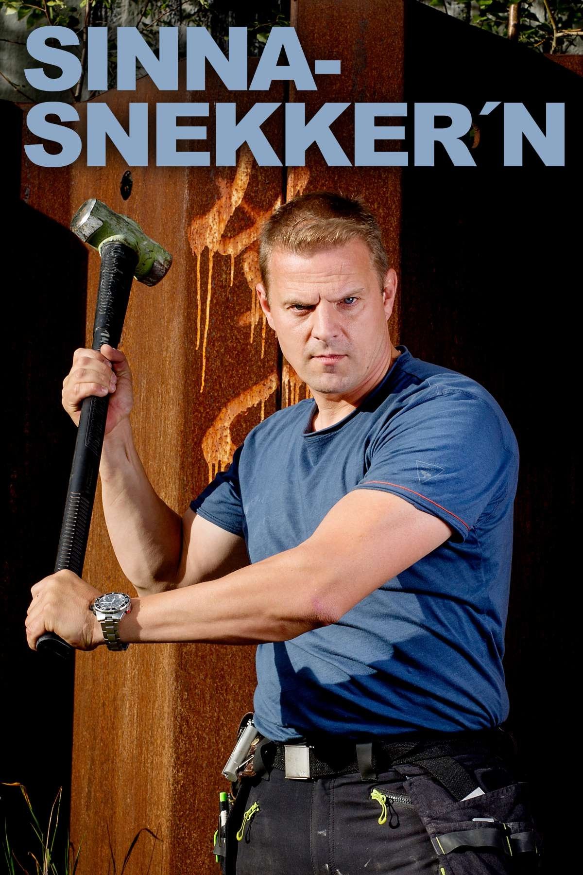 Poster de Temporada 9