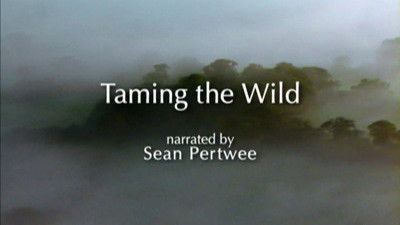 Taming the Wild