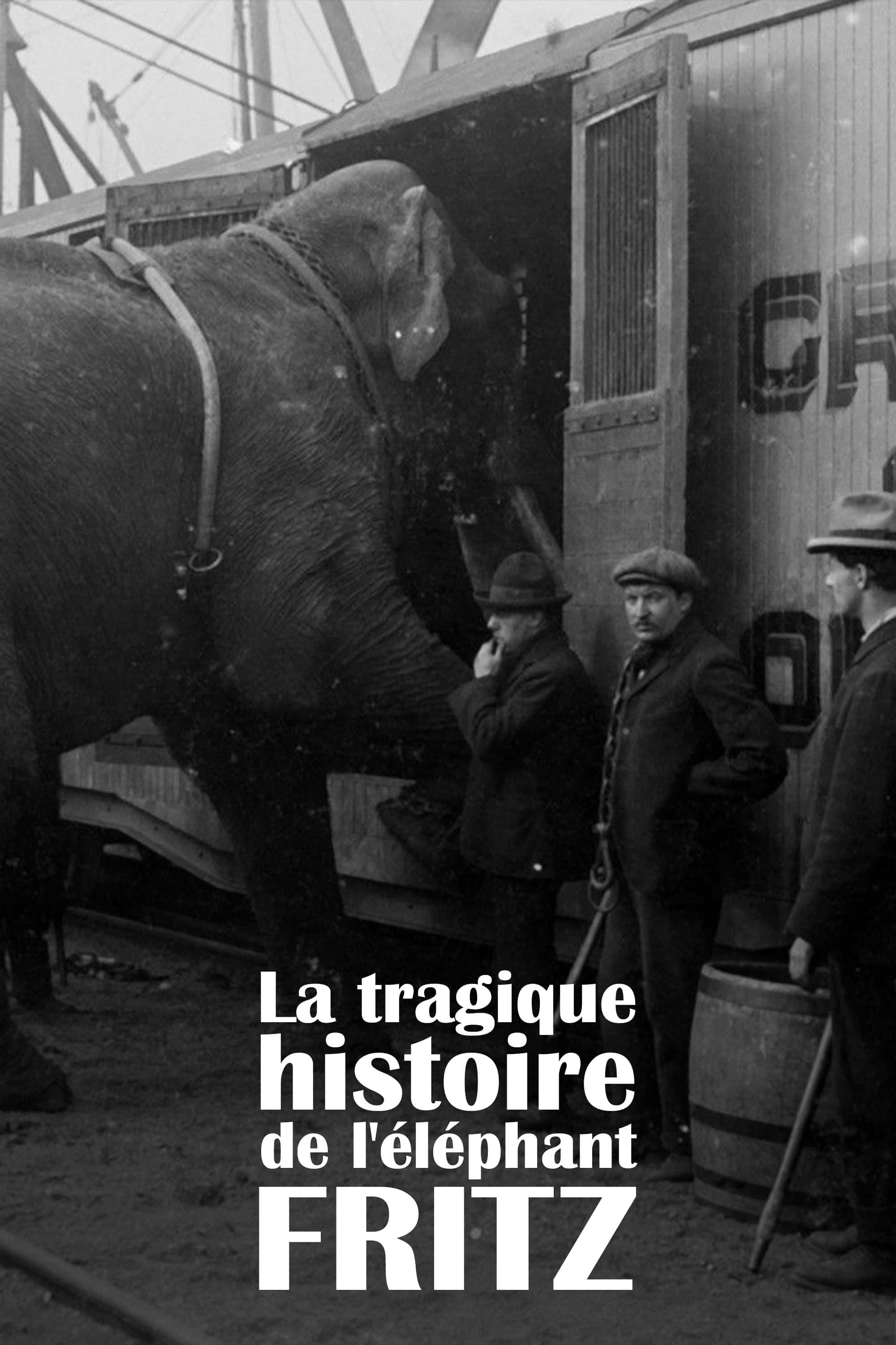Poster de La Tragique Histoire de Fritz l'éléphant