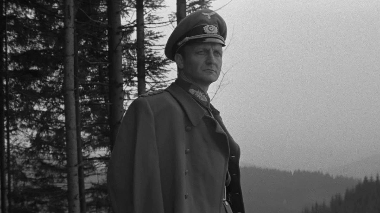 Director