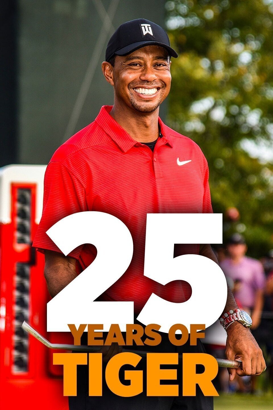 Poster de 25 Years of Tiger