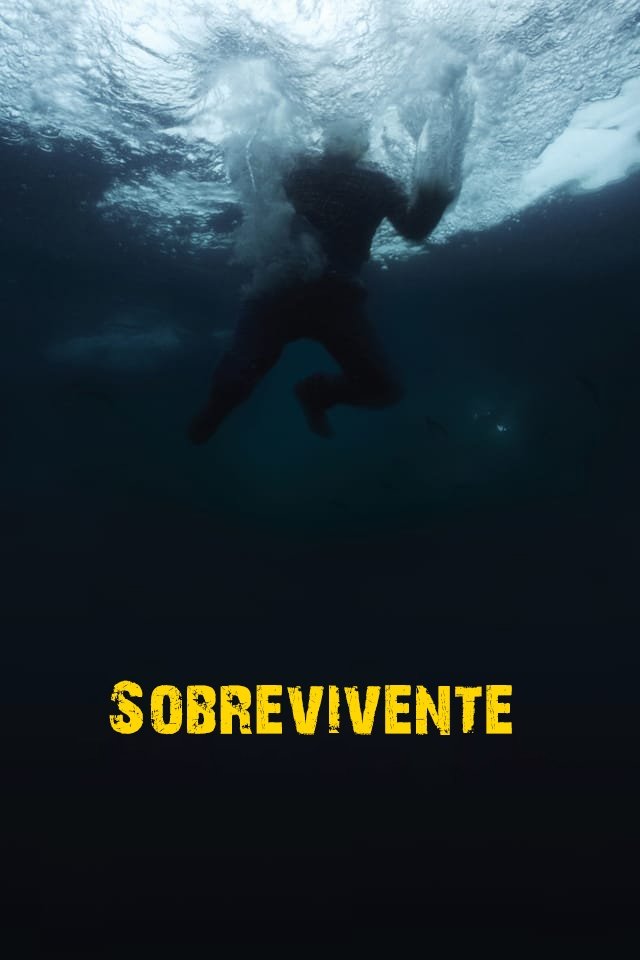 Poster de Sobrevivente