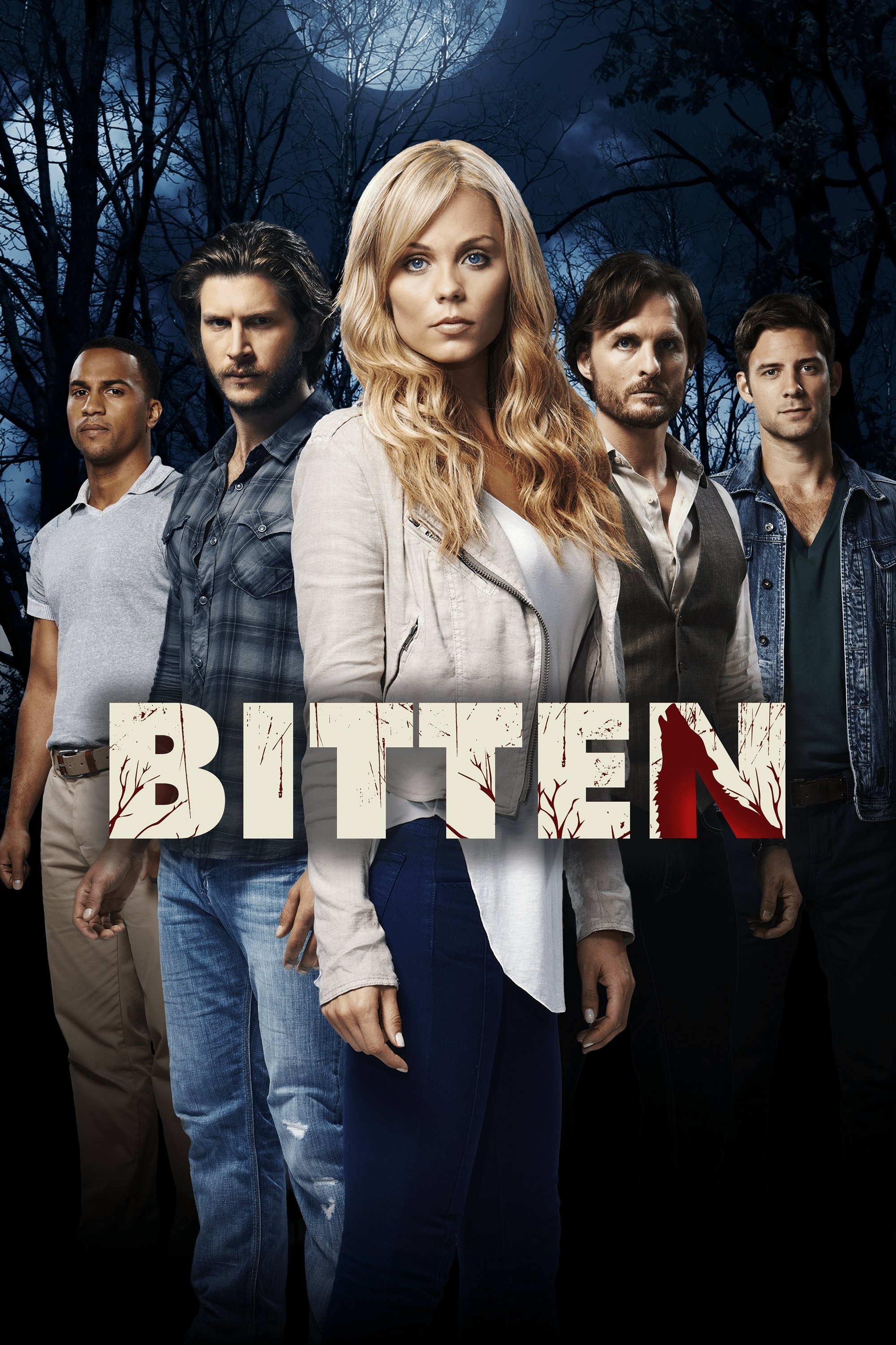 Poster de Temporada 1