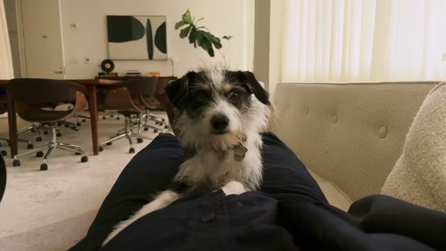 The Pryce Is Wrong II