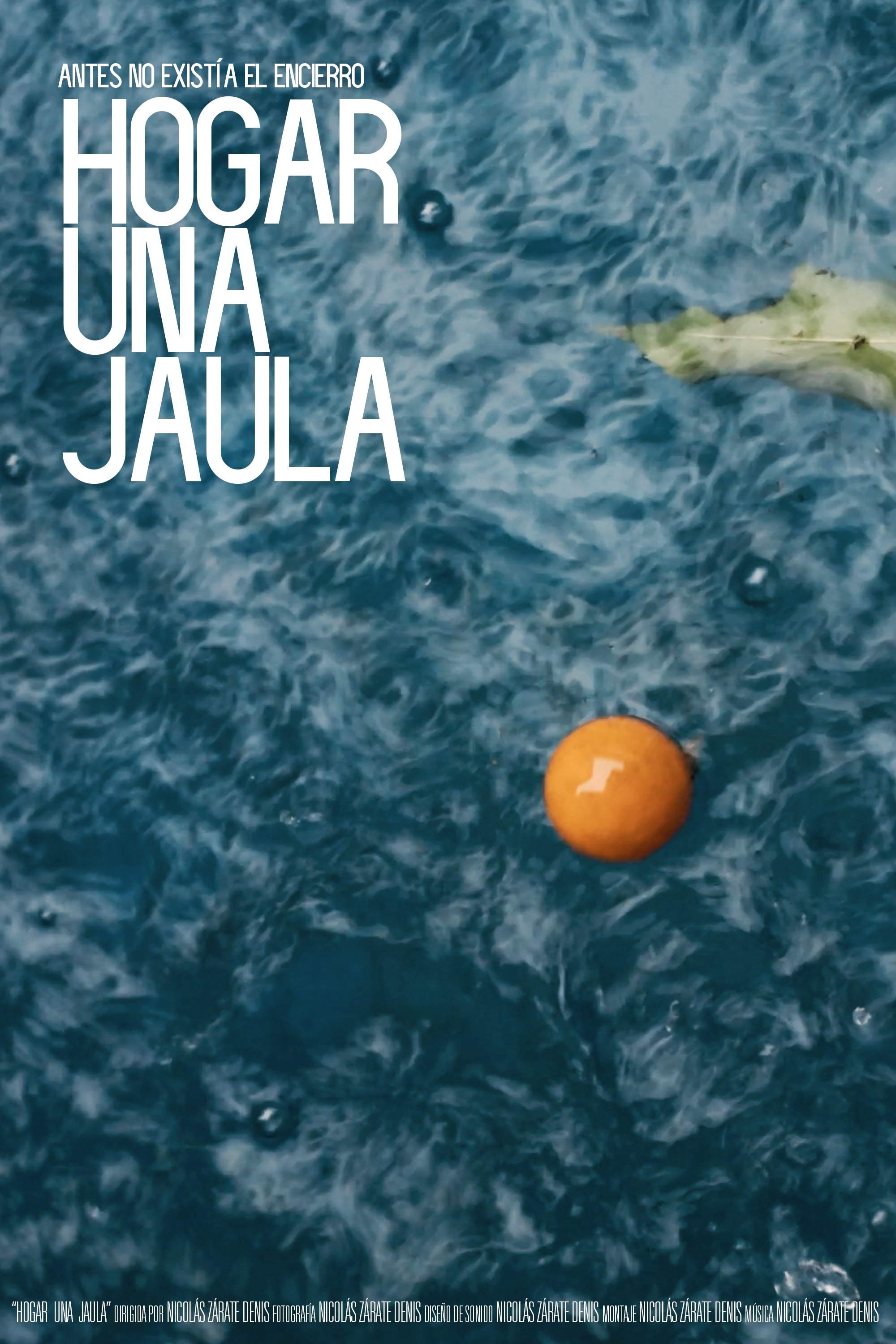 Poster de Hogar una jaula