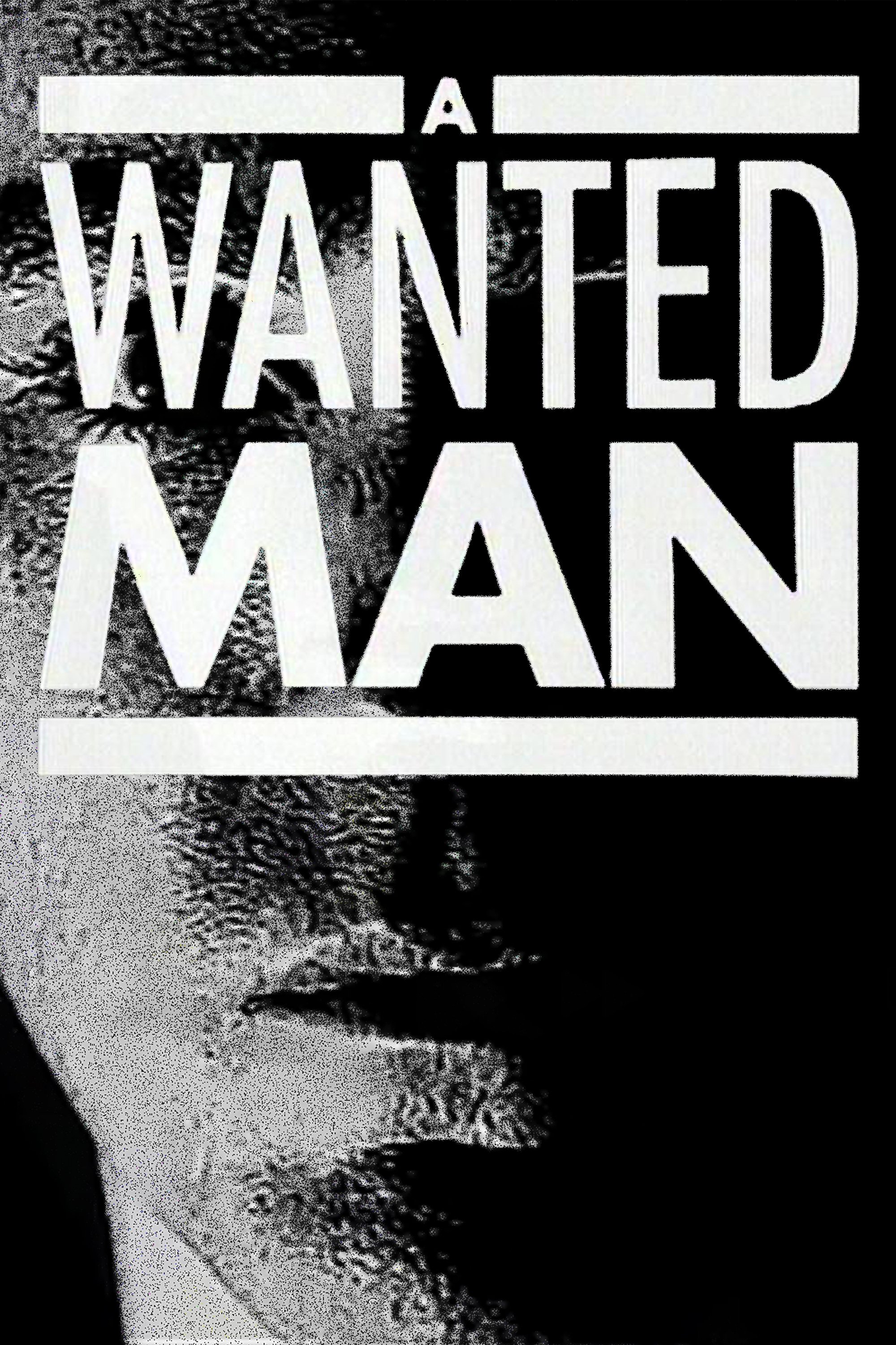 Poster de A Wanted Man
