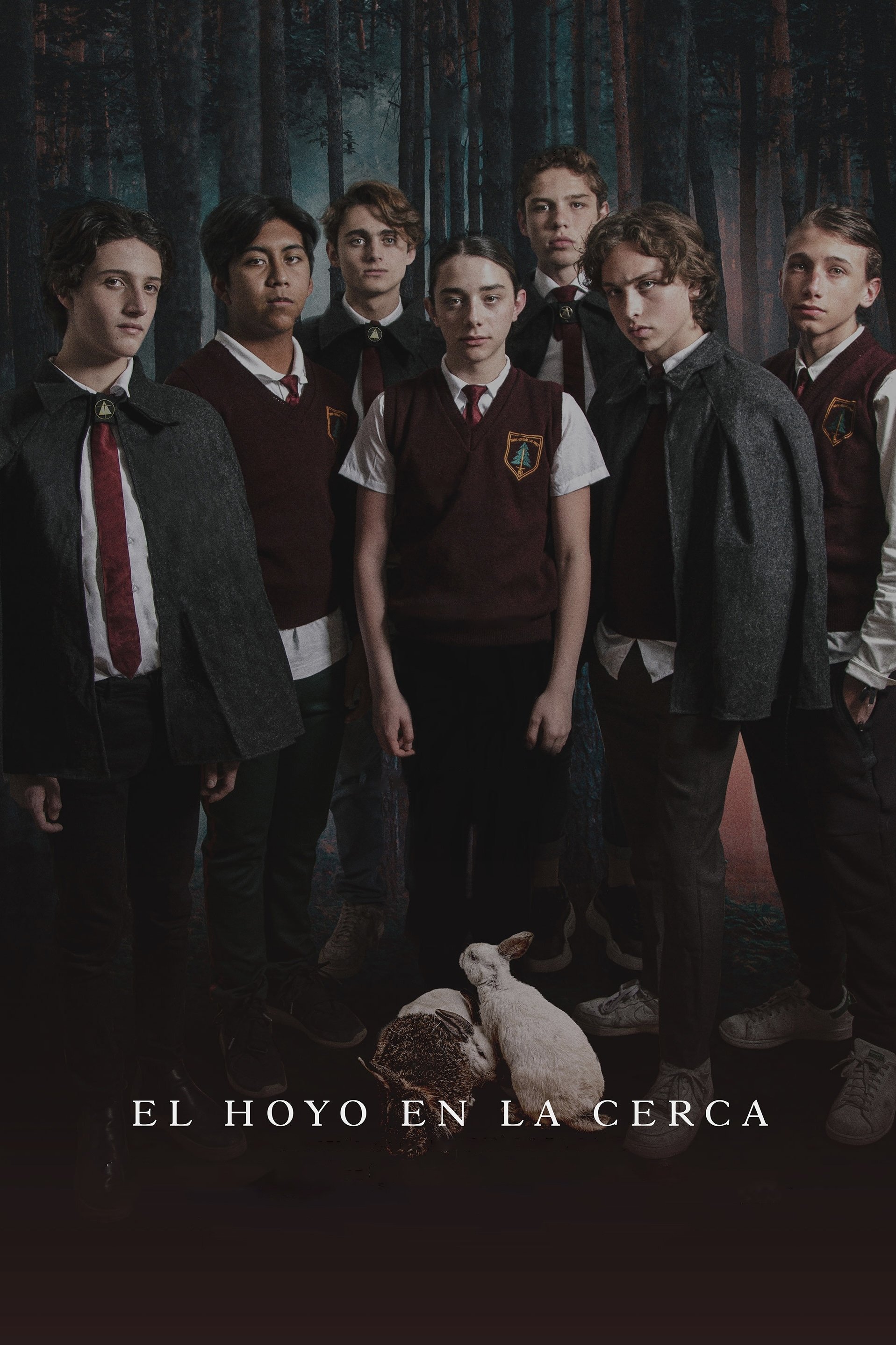 Poster de El hoyo en la cerca