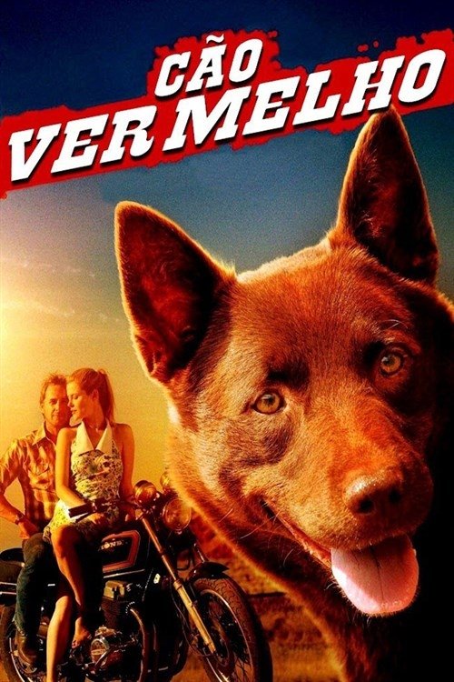 Poster de Cão Vermelho
