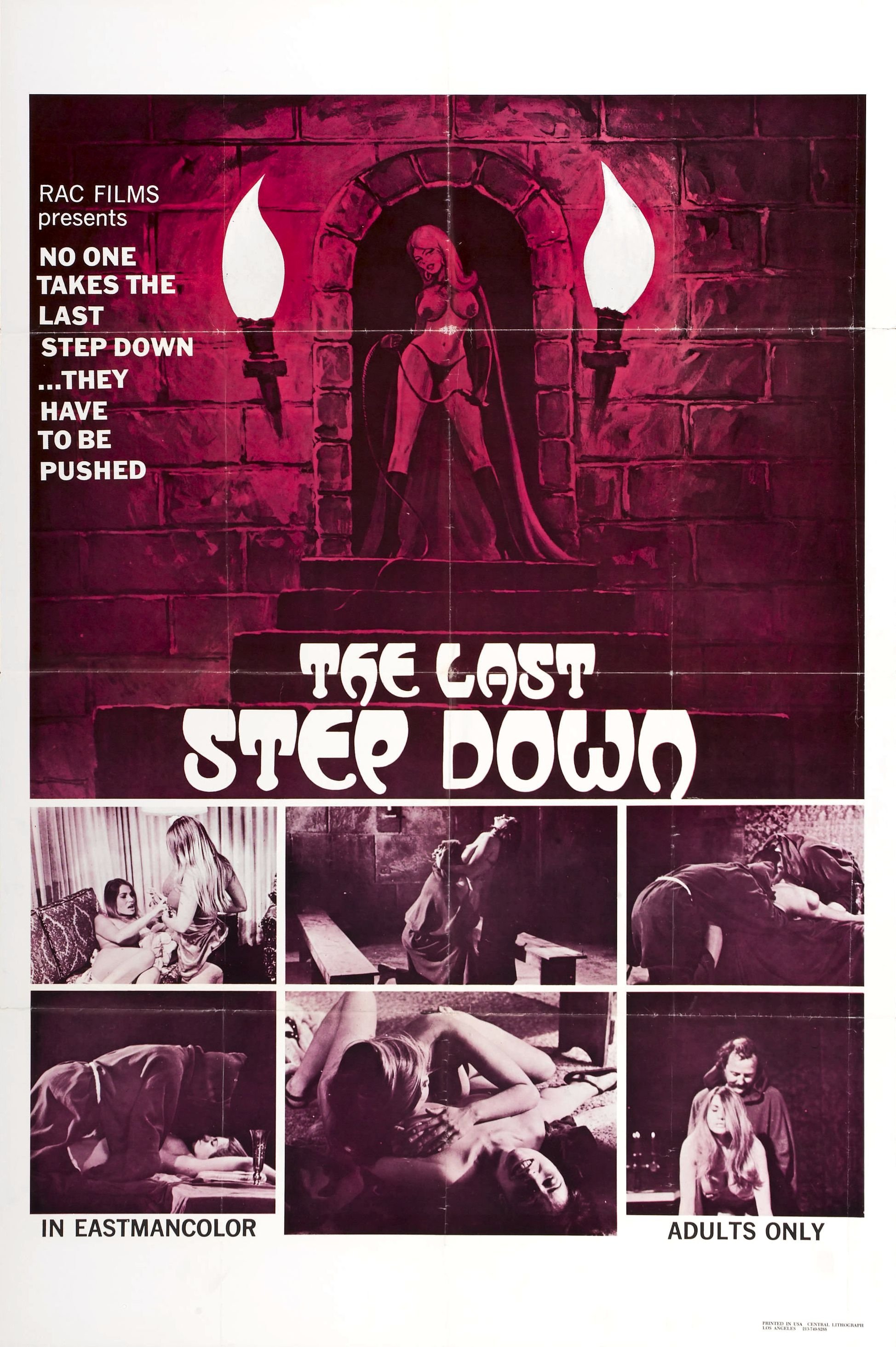 Poster de The Last Step Down