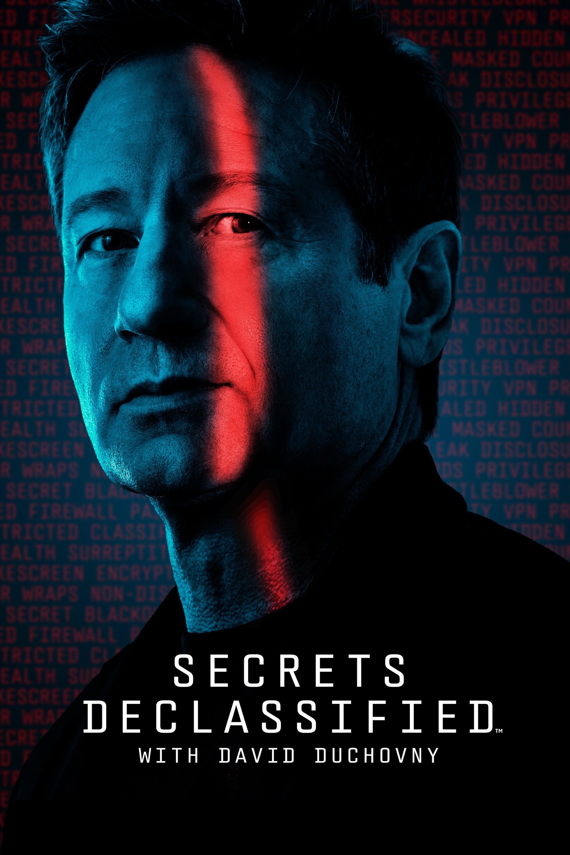 Poster de Secrets Declassified with David Duchovny
