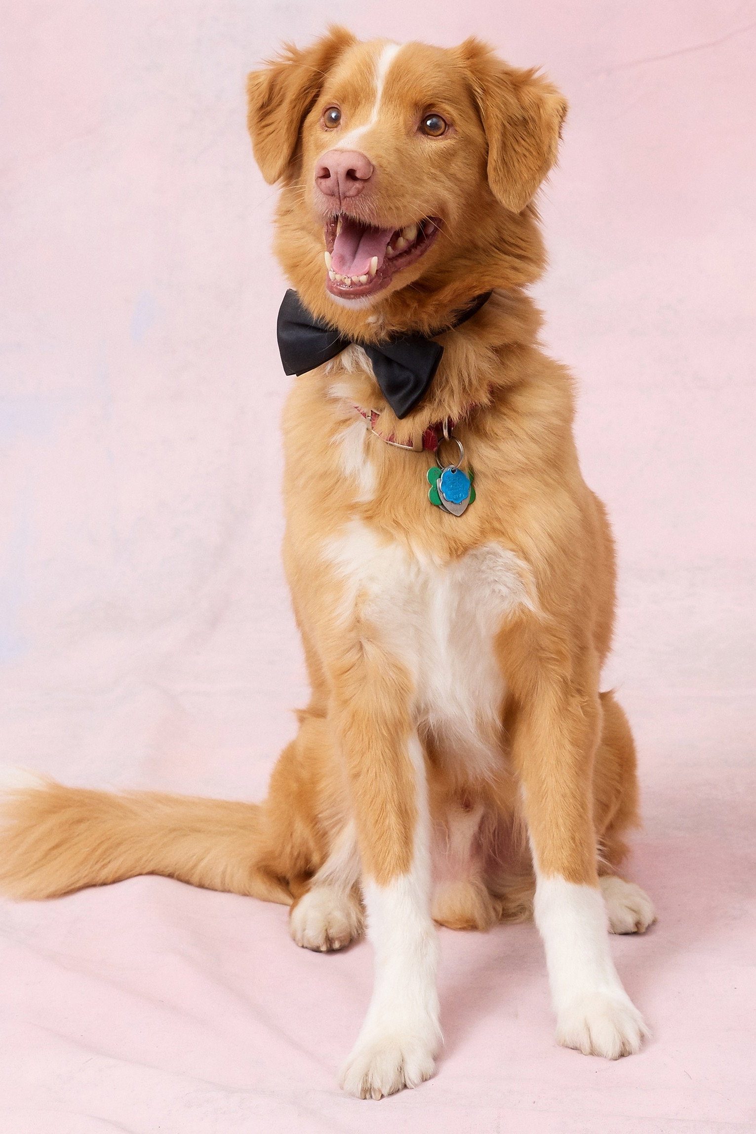the profile picture of Indy