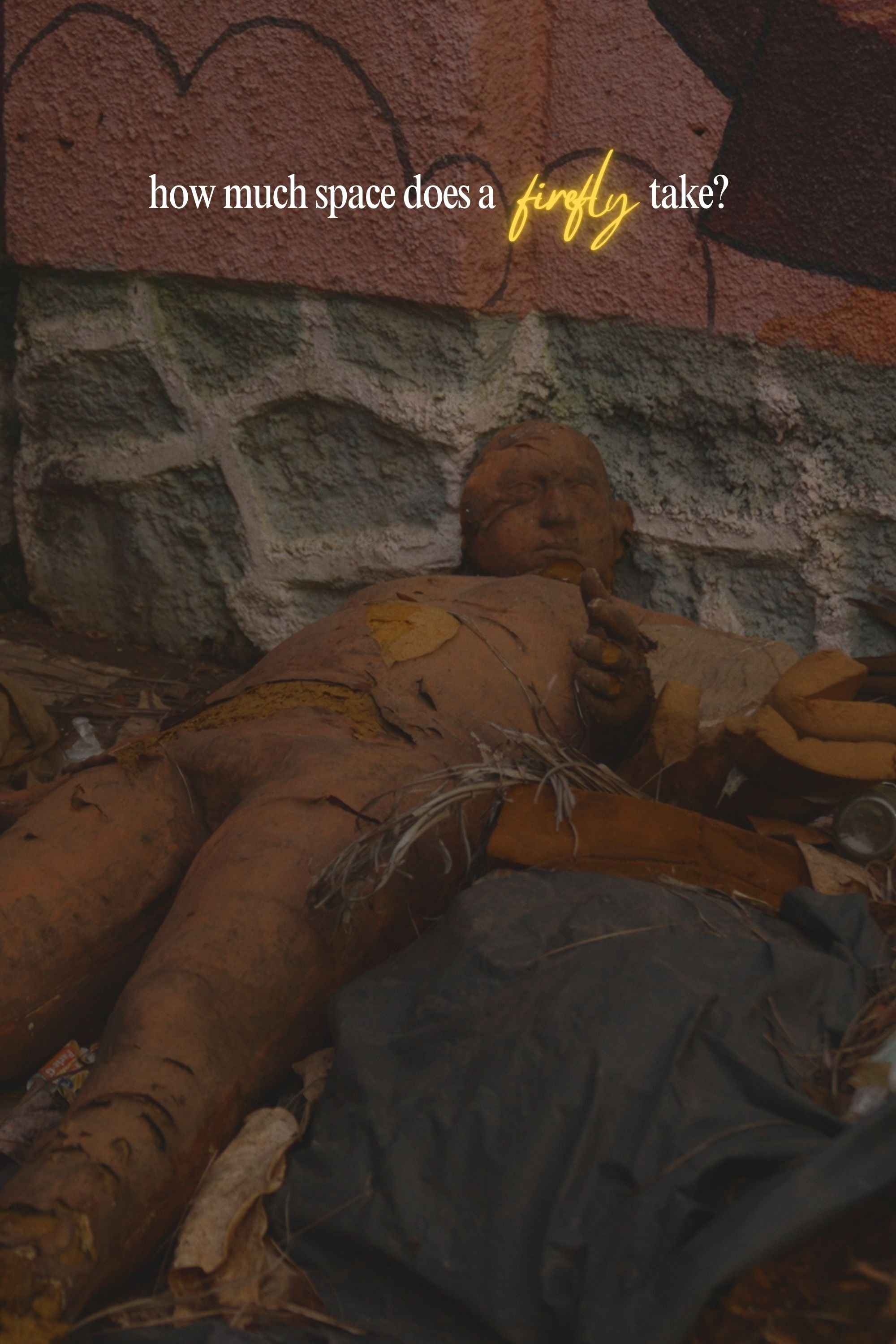 Poster de How Much Space Does A Firefly Take?