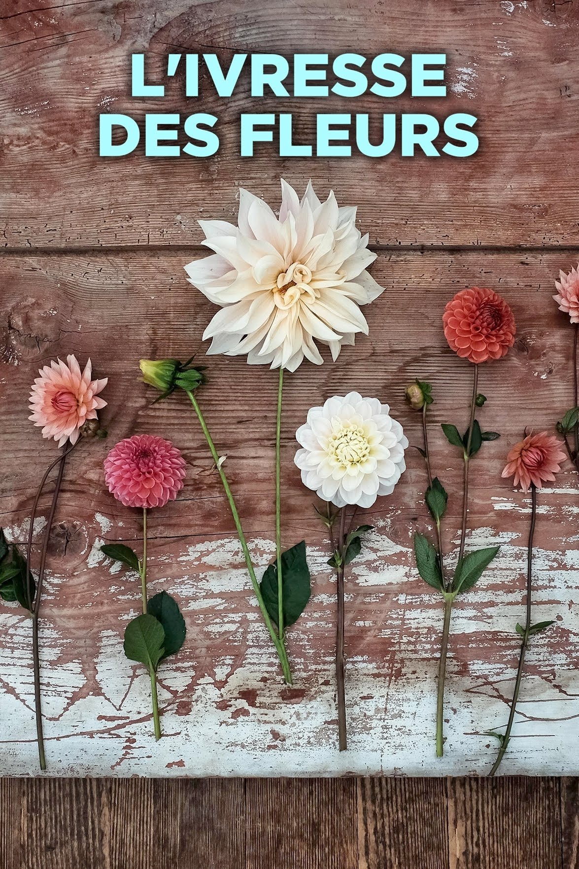 Poster de L'ivresse des fleurs