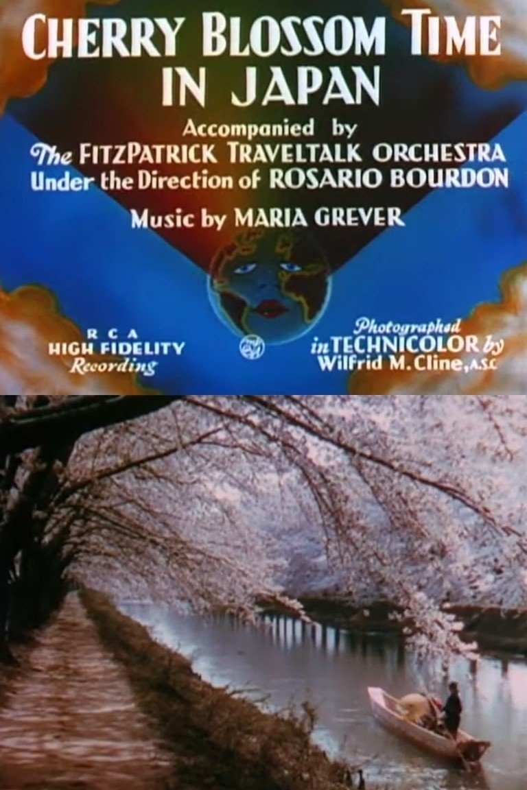 Poster de Cherry Blossom Time in Japan