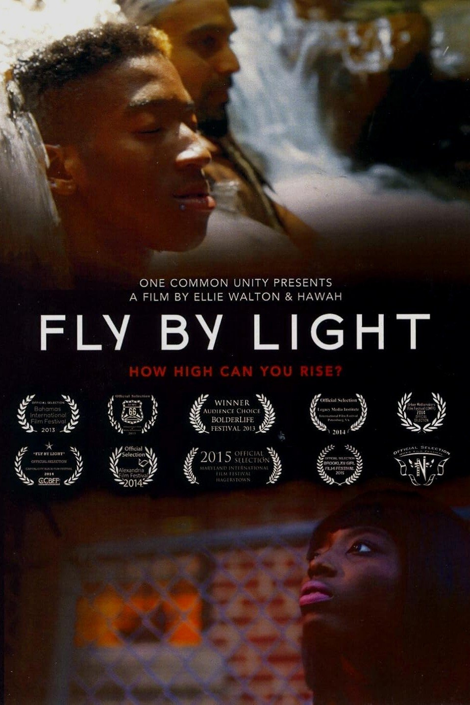 Poster de Fly by Light