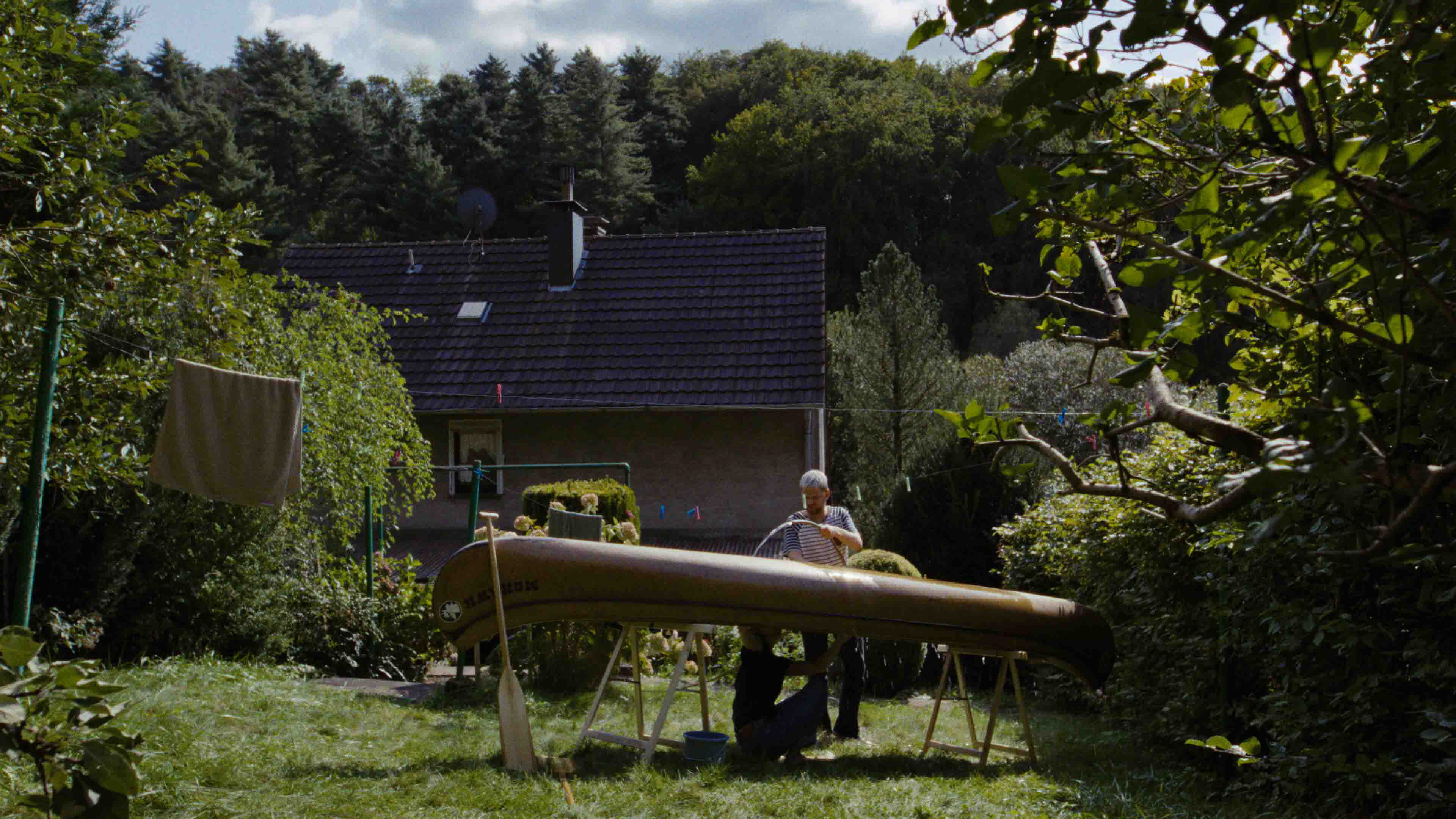 Director