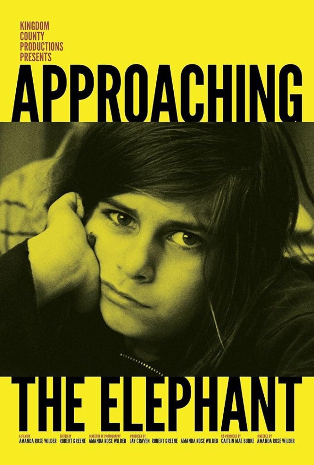 Poster de Approaching the Elephant