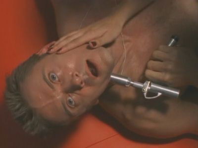 The Divinity Cluster