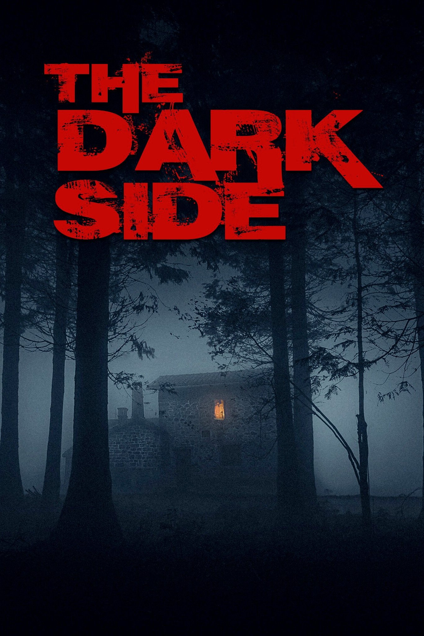 Poster de The Dark Side
