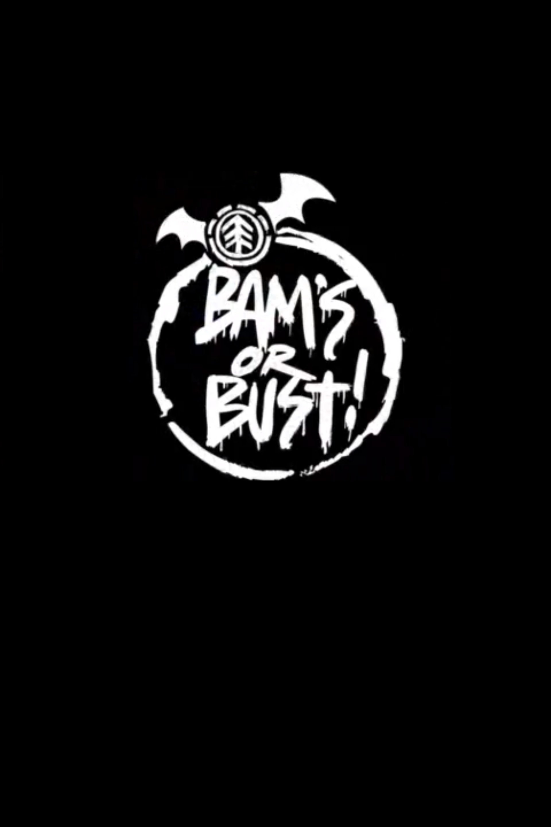 Poster de Bam's or Bust!