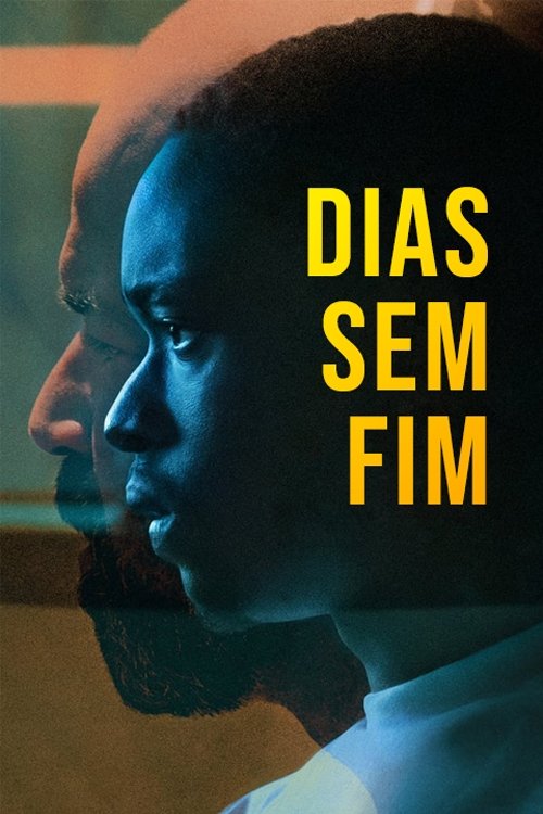 Poster de Dias Sem Fim
