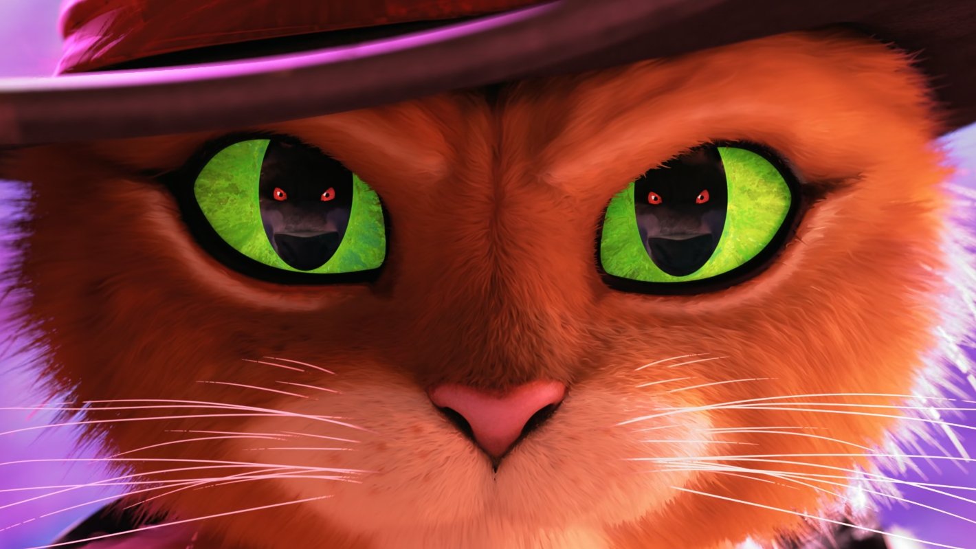 Backdrop image