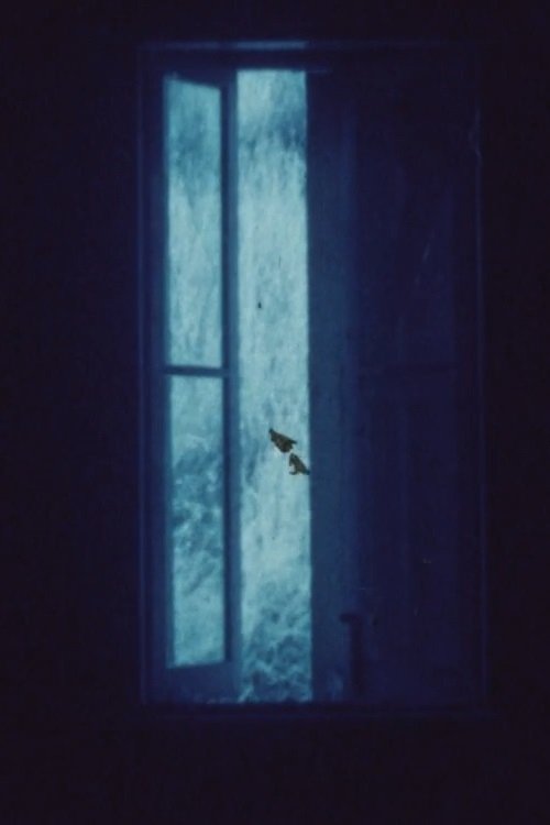 Poster de Echo Chamber