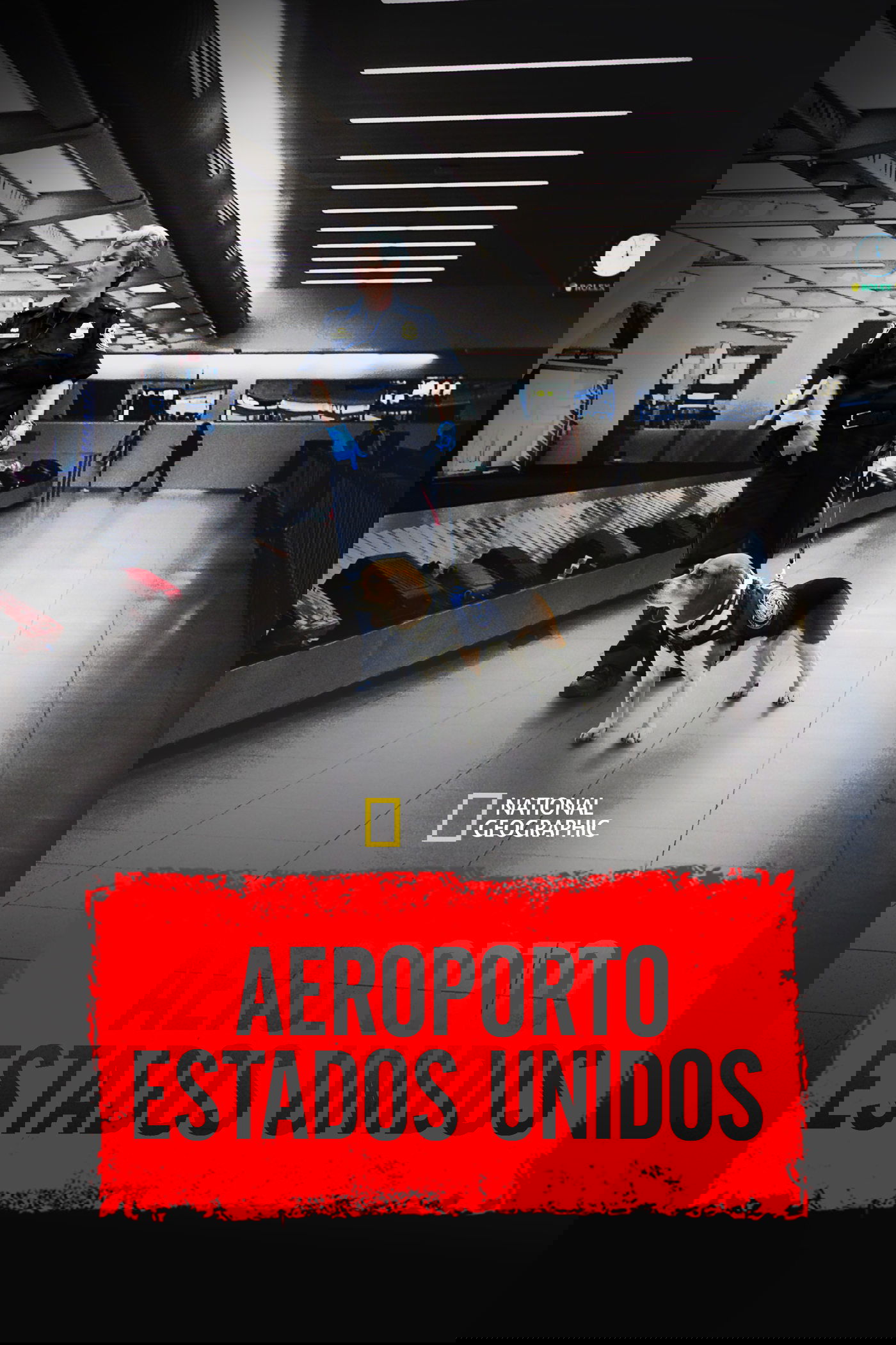 Poster de Aeroporto: Estados Unidos