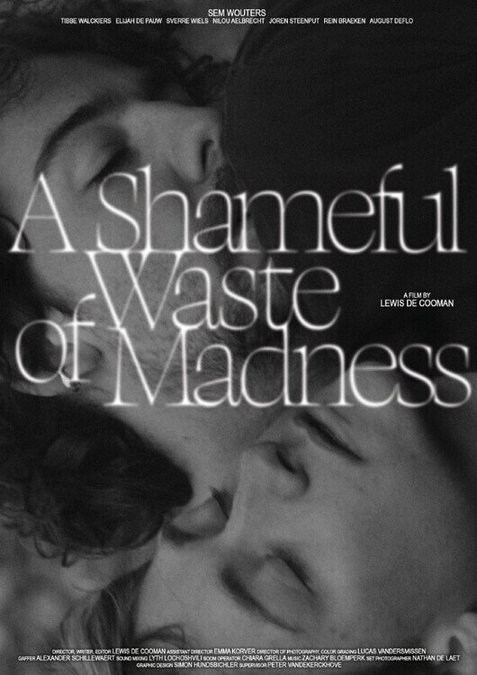 Poster de A Shameful Waste of Madness