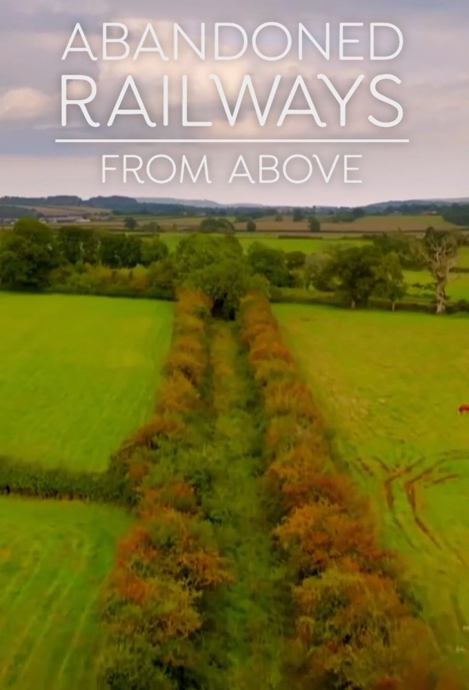 Poster de Abandoned Railways from Above