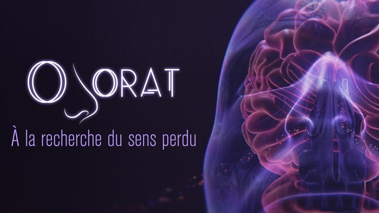 Odorat : à la recherche du sens perdu