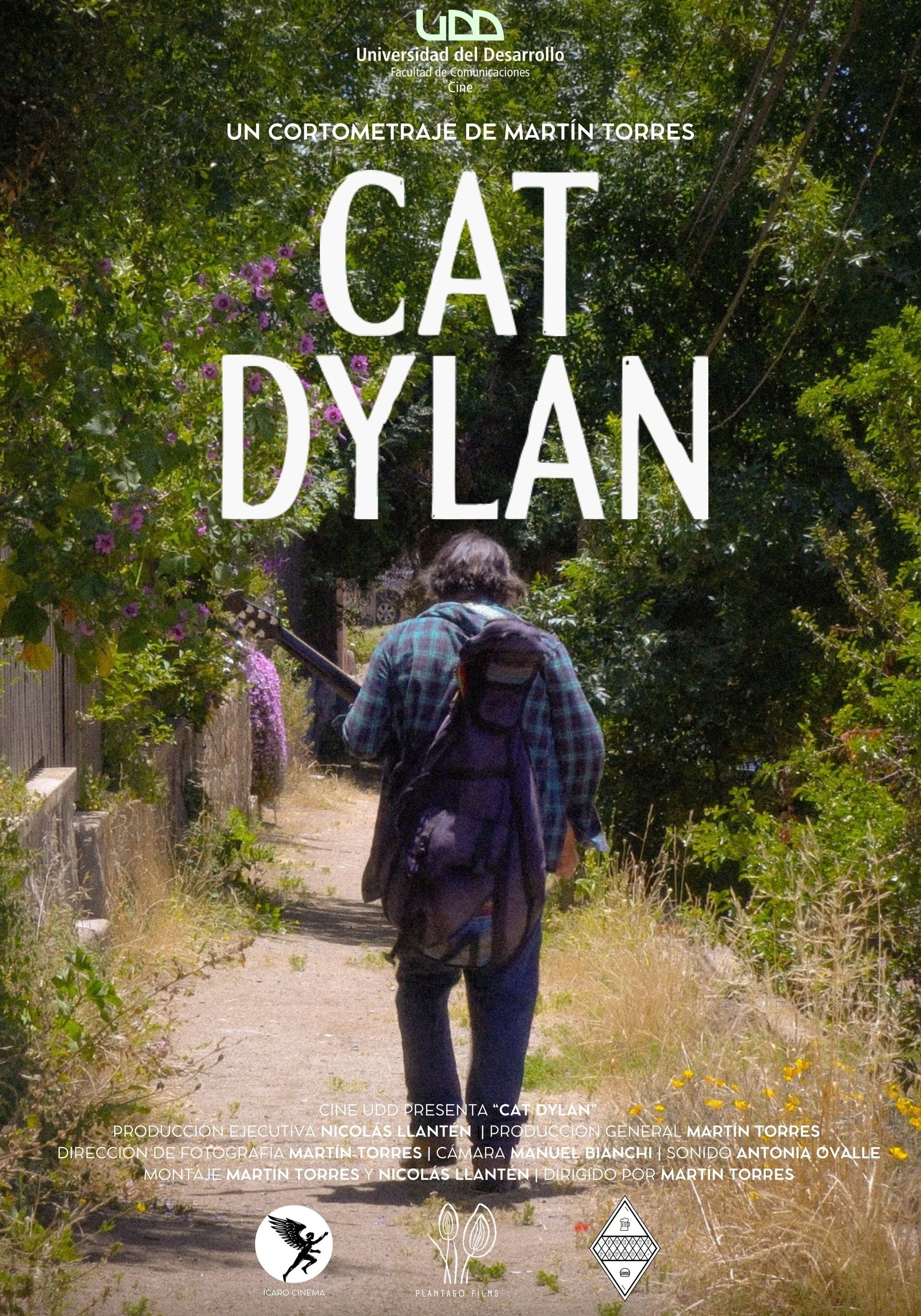 Poster de Cat Dylan