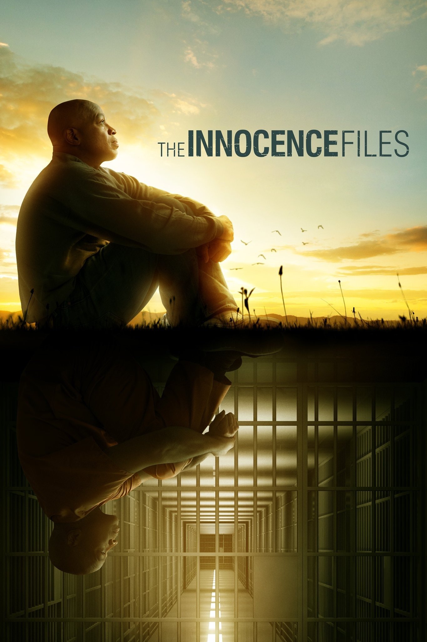 Poster de O DNA da Justiça