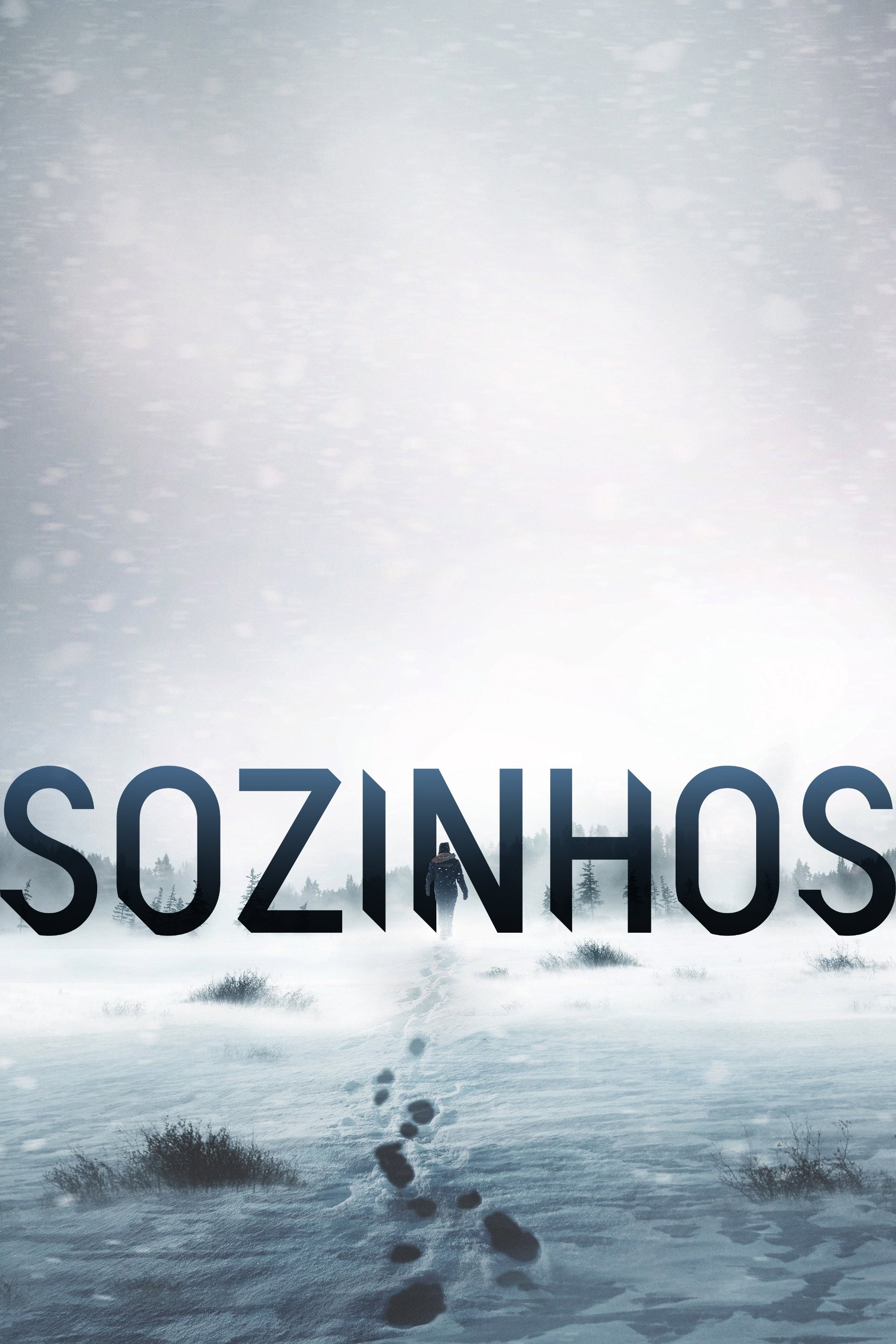 Poster de Temporada 7