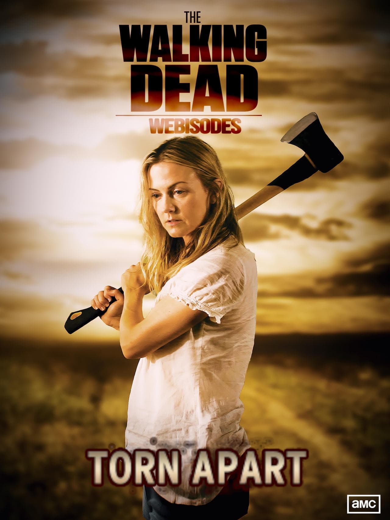 Poster de The Walking Dead: Torn Apart